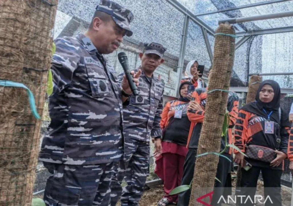 Cuan Menjanjikan, TNI AL Kendari Ajarkan Warga Tanam Vanili - GenPI.co SULTRA