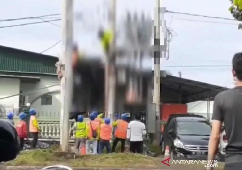 Nyawa Petugas PLN di Kendari Nyaris Melayang, Batang Kayu Jadi Penyelamat - GenPI.co SULTRA