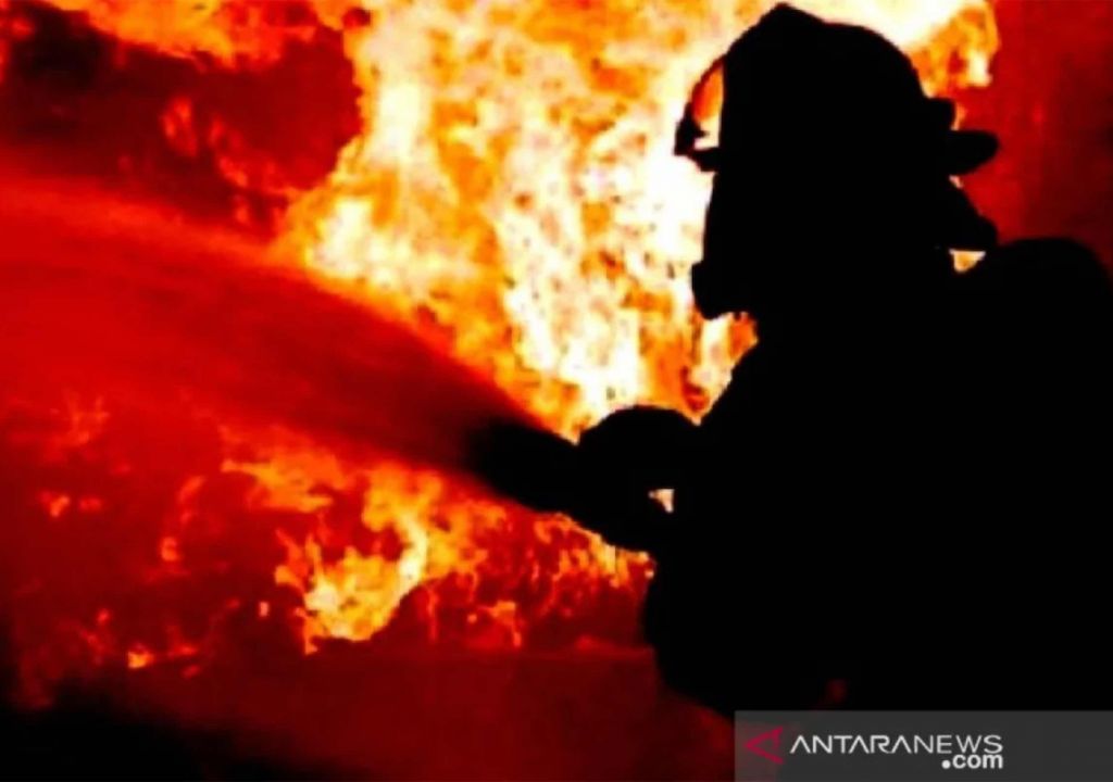 7 Kasus Sehari, Damkar Kota Kendari Padamkan 160 Kebakaran di 2023 - GenPI.co SULTRA
