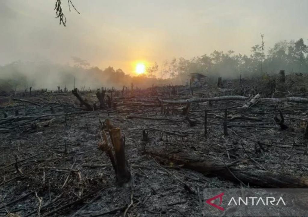 Kebakaran 0,4 Hektare Hutan dan Lahan di OKU Berhasil Diatasi - GenPI.co SUMSEL