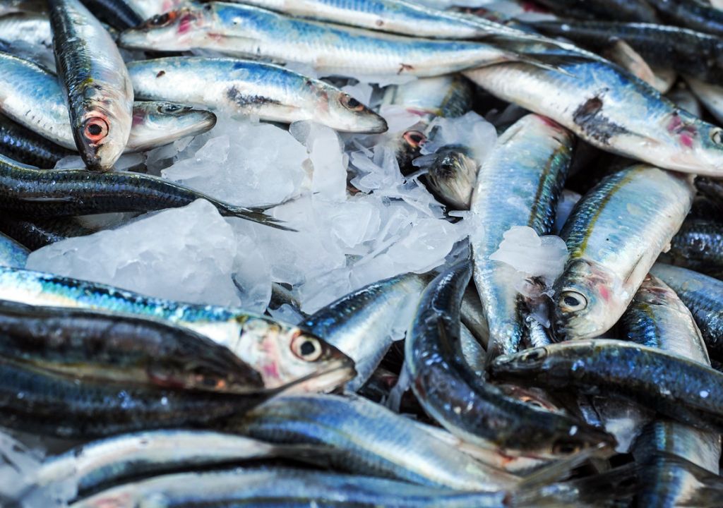 Begini 3 Cara Menghilangkan Bau Amis Ikan dengan Mudah - GenPI.co SUMSEL
