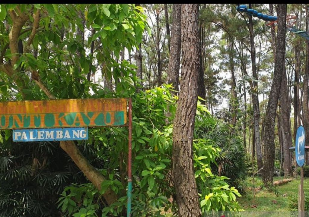 Akhir Liburan, Wisata Alam Punti Kayu Palembang Ramai Pengunjung - GenPI.co SUMSEL