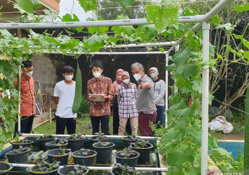 Lokasi Penelitian Urban Farming Unsri Dikunjungi Mahasiswa Jepang - GenPI.co SUMSEL