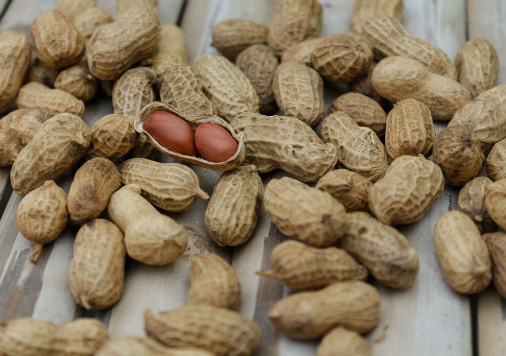 3 Manfaat Kacang Tanah untuk Diebetesi yang Sayang Dilewatkan - GenPI.co SUMSEL