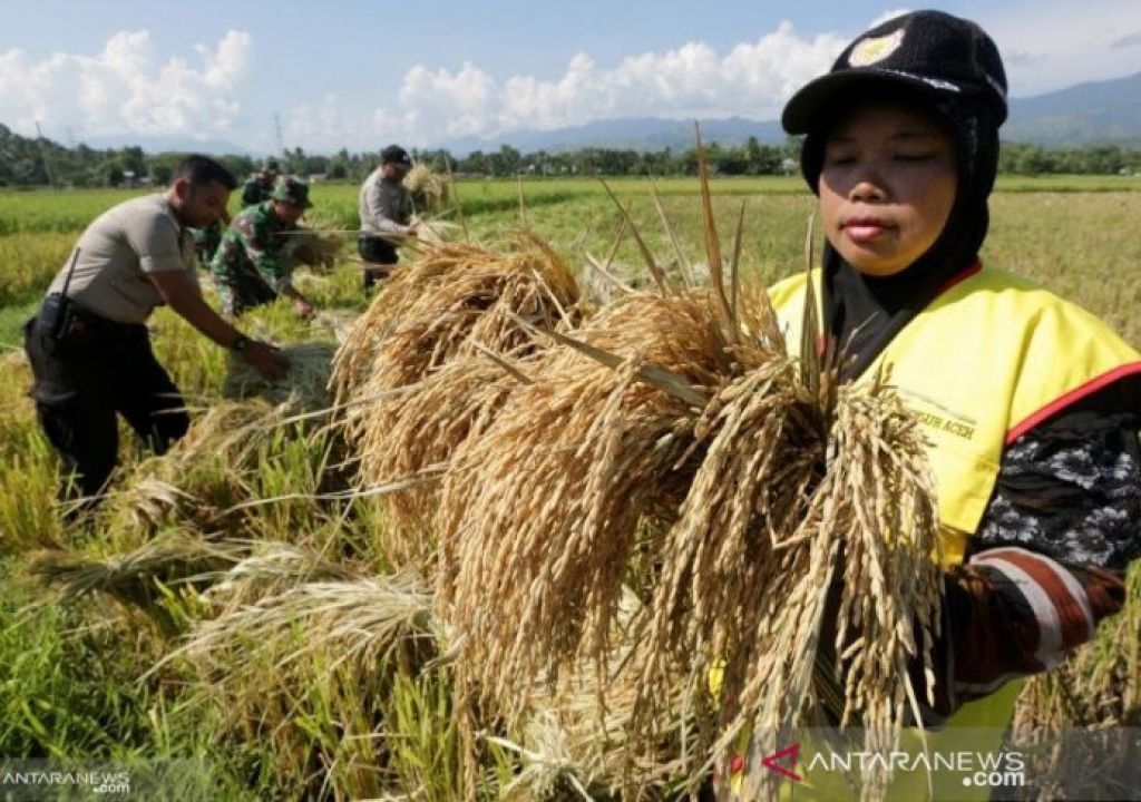 1.400 Penyuluh Pertanian Jadi Agen BPJS Ketenagakerjaan Palembang - GenPI.co SUMSEL
