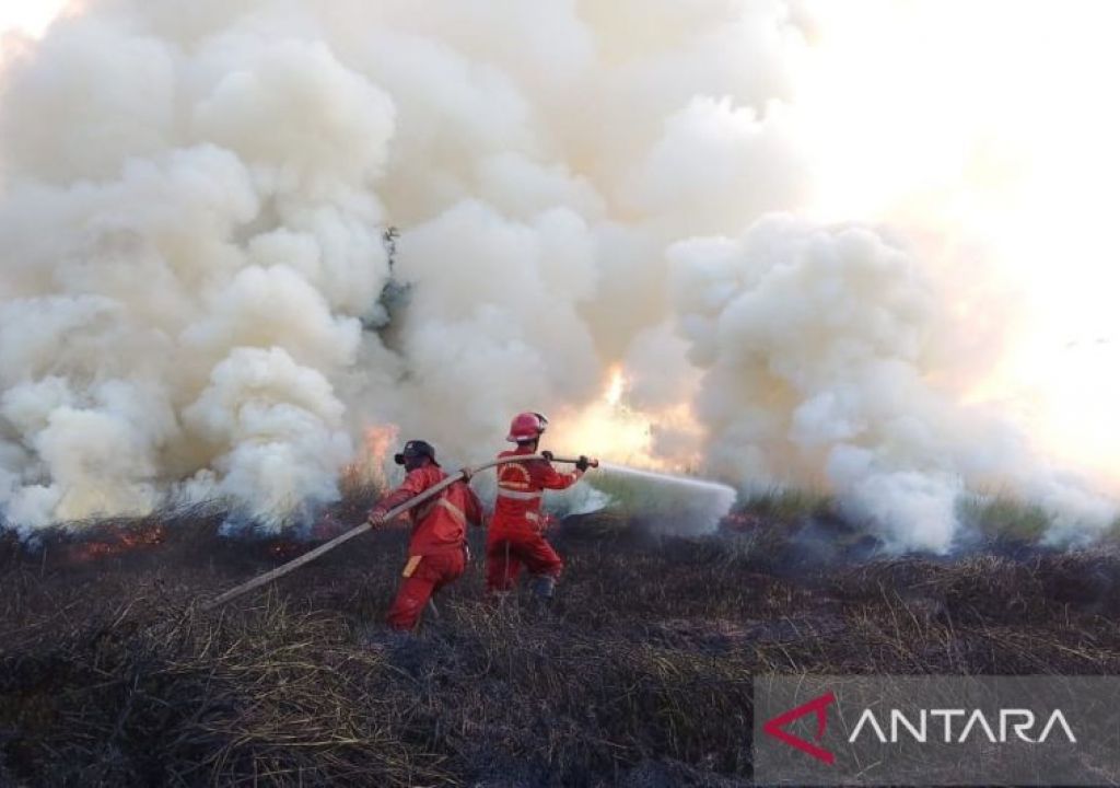 Lahan 9 Hektare di Desa Arisan Jaya Ogan Ilir Terbakar Hebat - GenPI.co SUMSEL