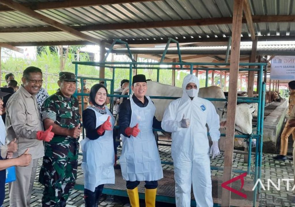 Cegah PMK, Ratusan Sapi Milik Peternak di OKU Divaksin - GenPI.co SUMSEL