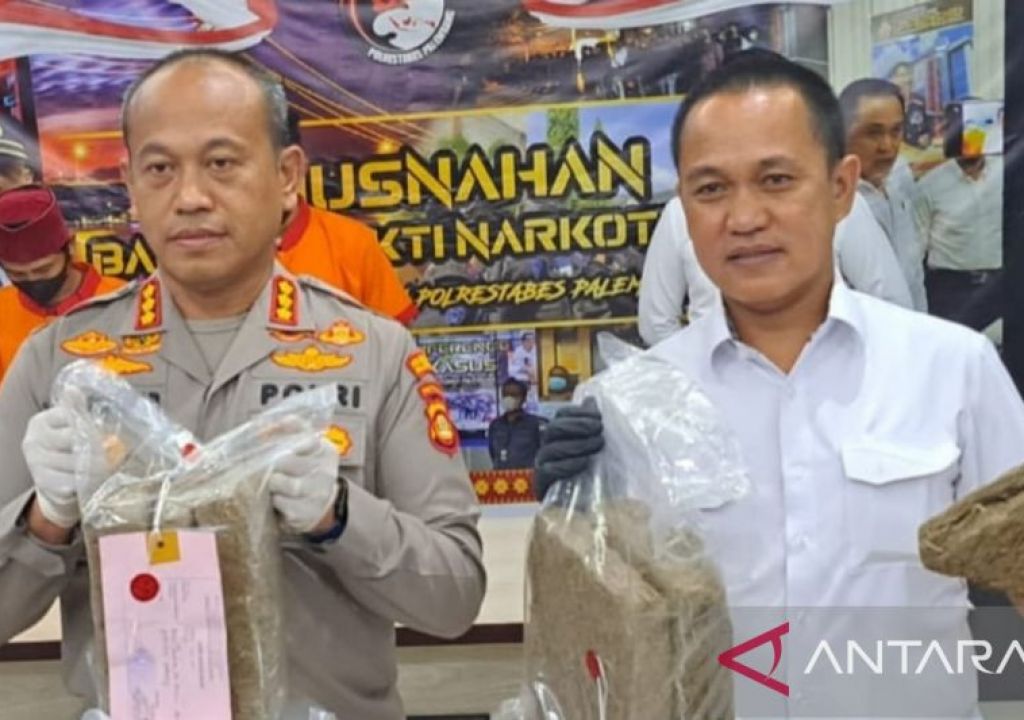 2 Pengedar Ganja Jaringan Maluku Ditangkap Polisi di Palembang - GenPI.co SUMSEL