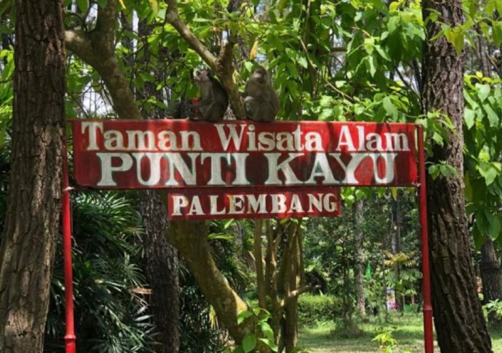 Jumlah Wisatawan di TWA Puntikayu Palembang Naik 20 Persen - GenPI.co SUMSEL