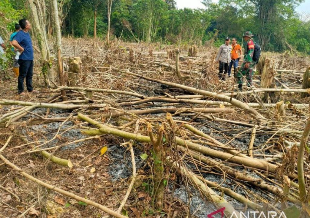Puntung Rokok Sebabkan 10 Hektare Hutan di OKU Terbakar - GenPI.co SUMSEL