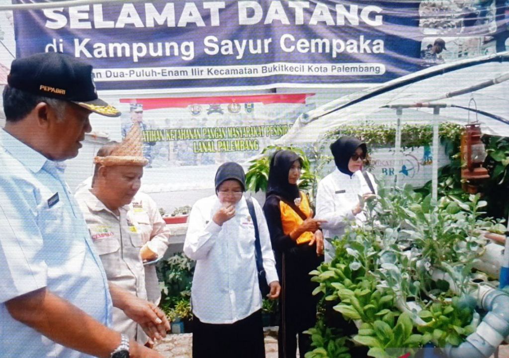 Puluhan Purnawirawan ABRI di Palembang Ikut Pelatihan Hidroponik - GenPI.co SUMSEL