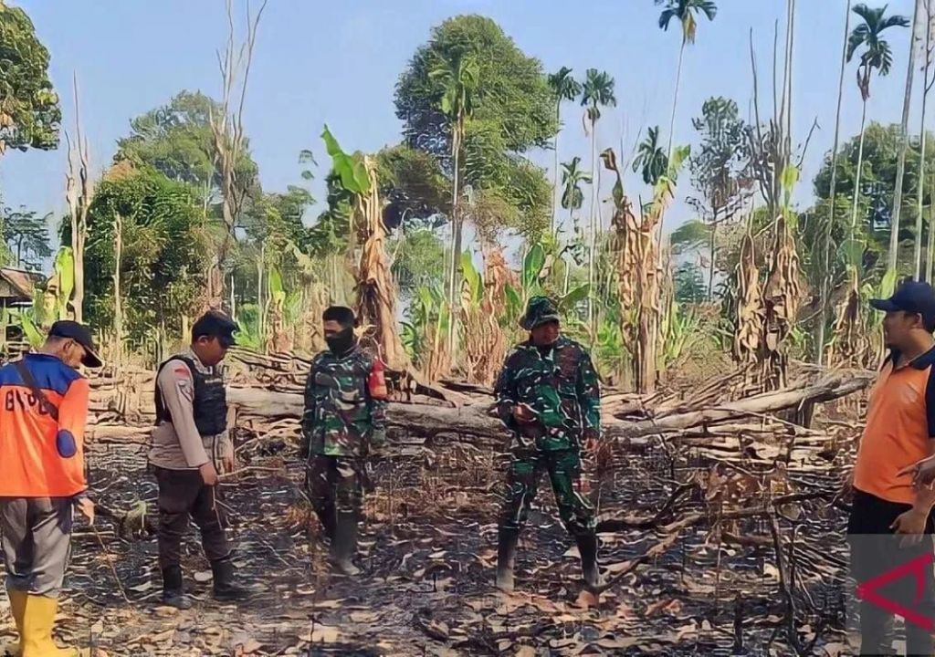 uploads/sumsel/arsip/normal/2023/10/10/tim-satgas-karhutla-oku-selatan-usai-memadamkan-api-foto-xzfv.jpg - GenPI.co SUMSEL