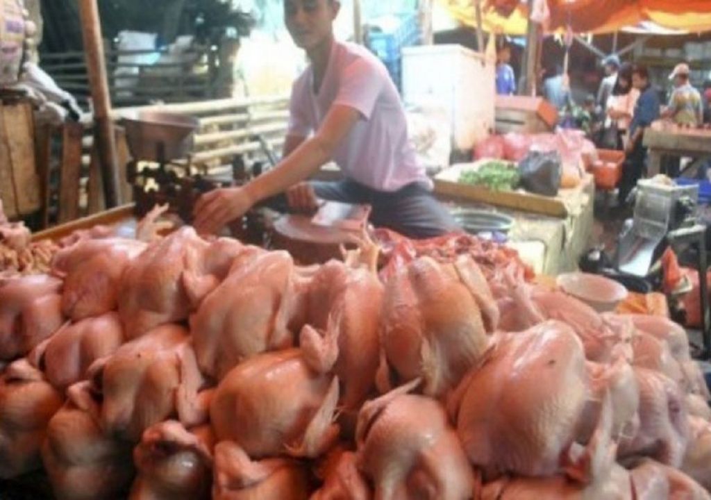 Harga Naik, Pembeli Daging Ayam Potong Jadi Sepi - GenPI.co SUMUT