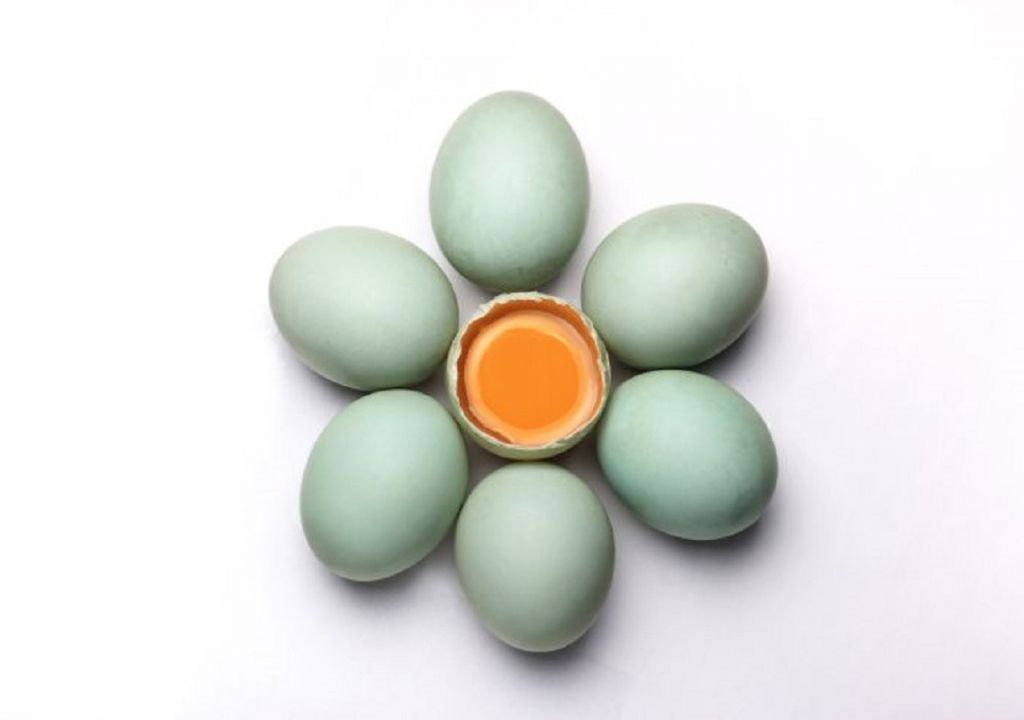 Fakta Menarik dari Telur Asin, Menurut Saltesse - GenPI.co SUMUT