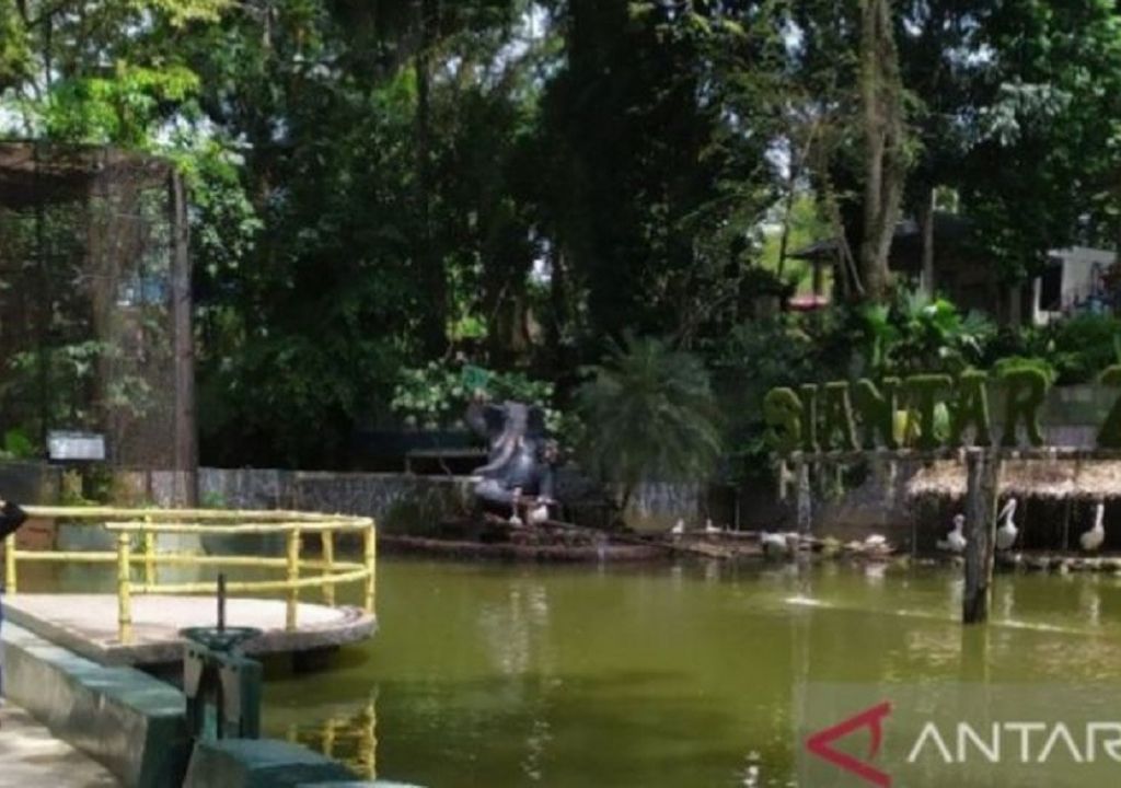 Libur Lebaran, Taman Hewan Pematang Siantar Ramai - GenPI.co SUMUT