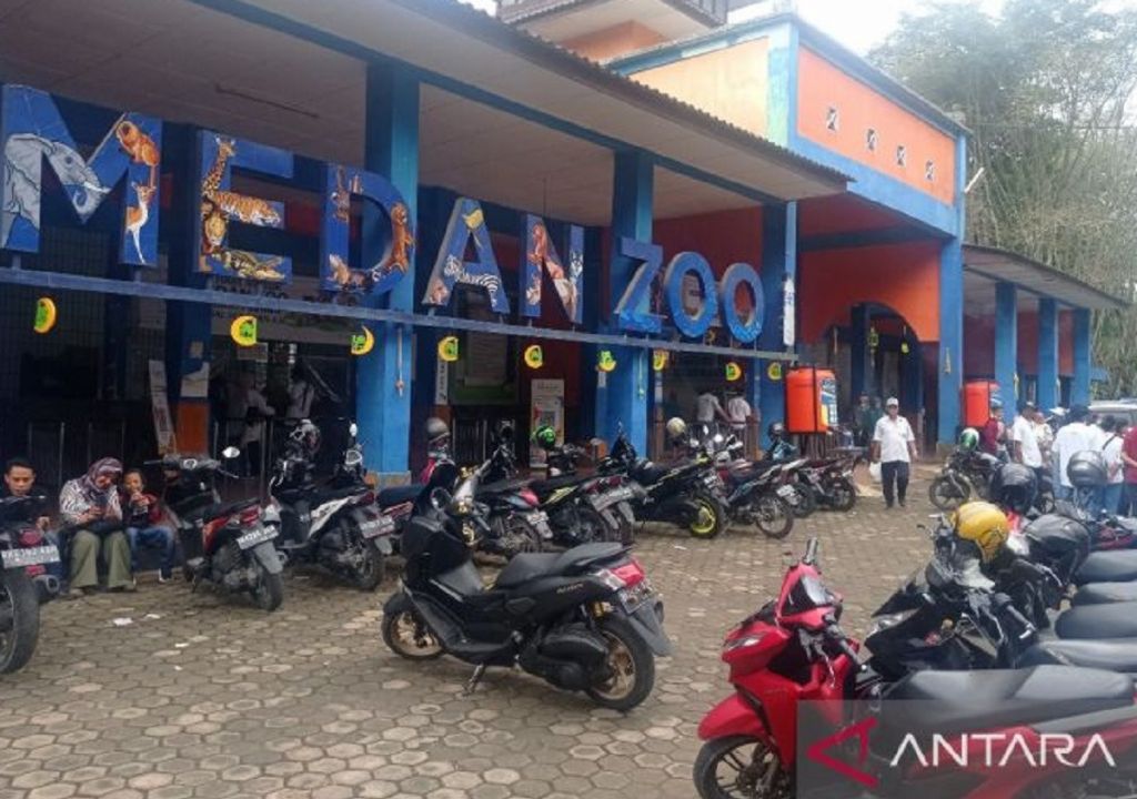 Objek Wisata Medan Zoo Butuh Investor, Kata Pengelola - GenPI.co SUMUT