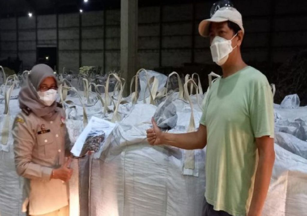 Sumut Ekspor Pakan Ternak Limbah Jagung ke Korsel - GenPI.co SUMUT