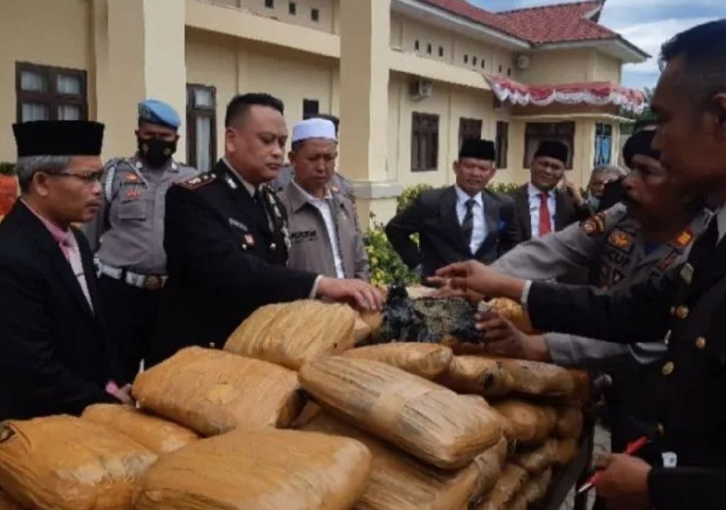 Polisi Gagalkan Peredaran 80 Bal Ganja di Palas - GenPI.co SUMUT