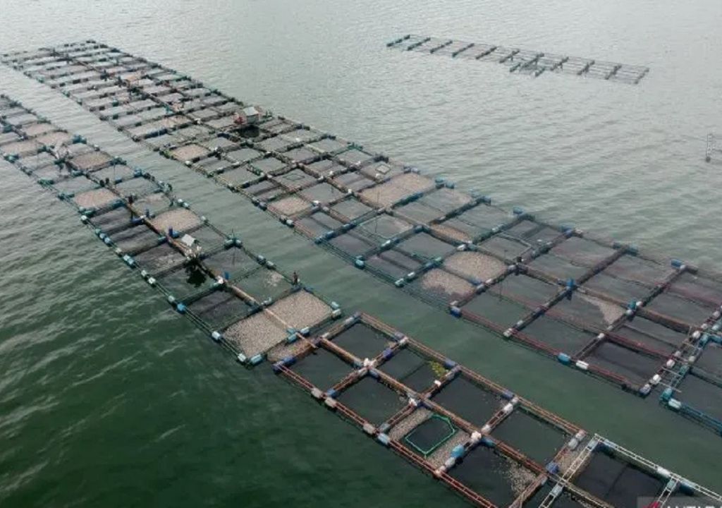 Samosir Bakal Tutup 840 Petak Keramba Jaring Apung - GenPI.co SUMUT