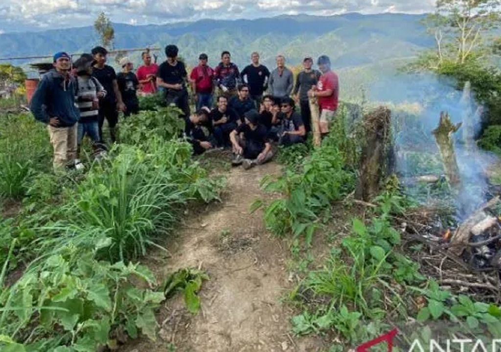 Wow, Polisi Temukan 11 Hektare Lahan Ganja di Madina - GenPI.co SUMUT
