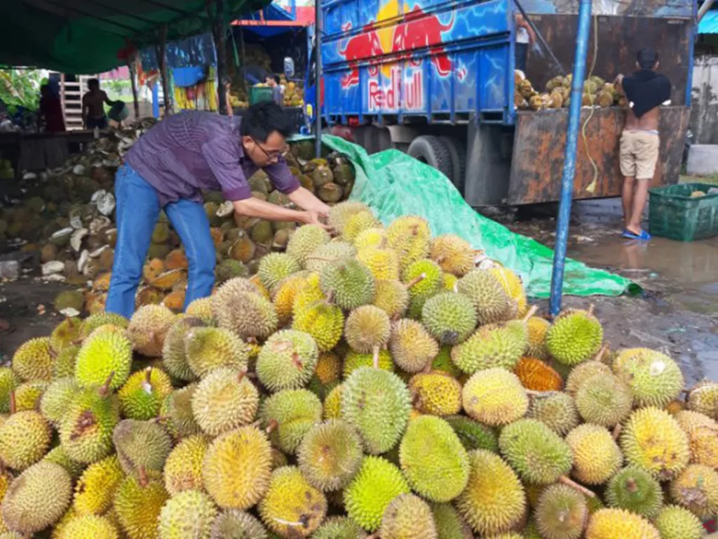 Kaya Antioksidan, Durian Bisa Bantu Lindungi Tubuh dari Penyakit - GenPI.co NTB