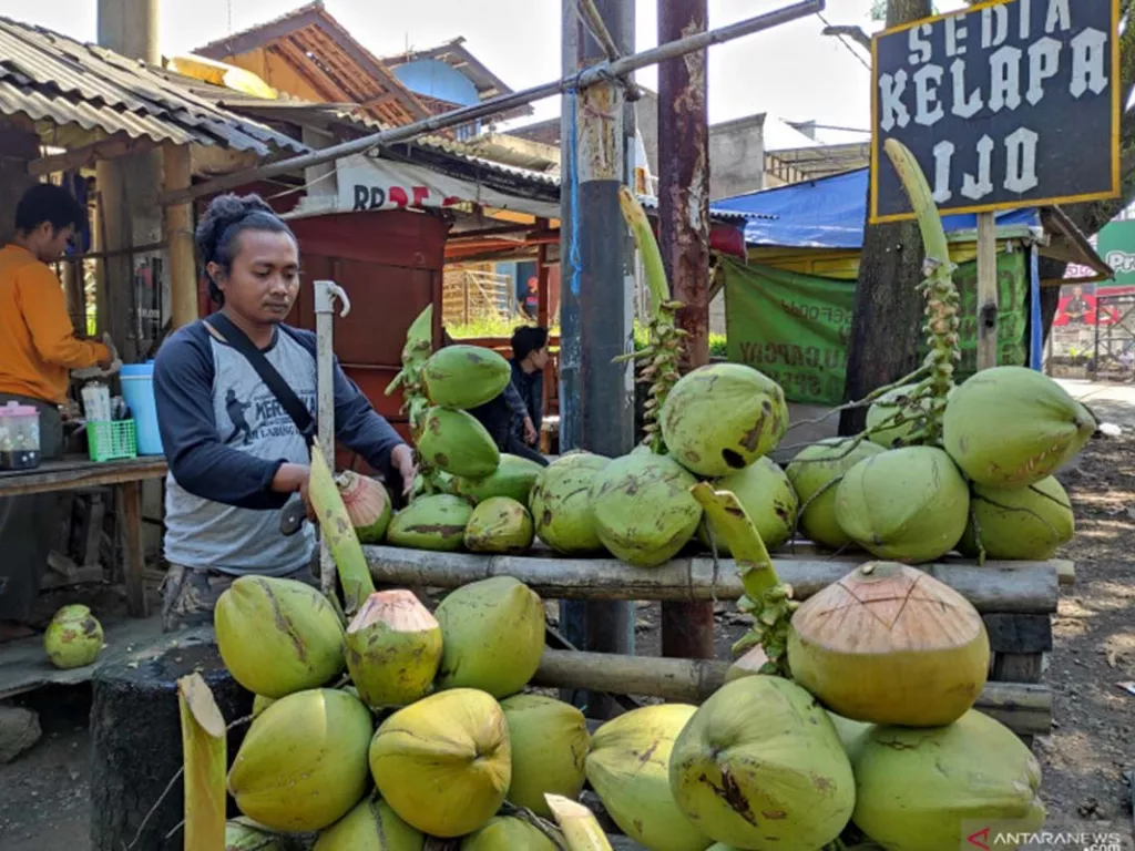 Minum Air Kelapa Bikin Segar, Tetapi Tidak Selalu Aman untuk Semua Orang - GenPI.co SUMUT