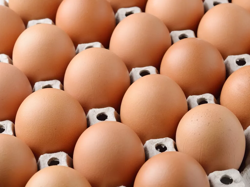 Ini Penyebab Kenaikan Harga Telur Ayam di Kepri - GenPI.co