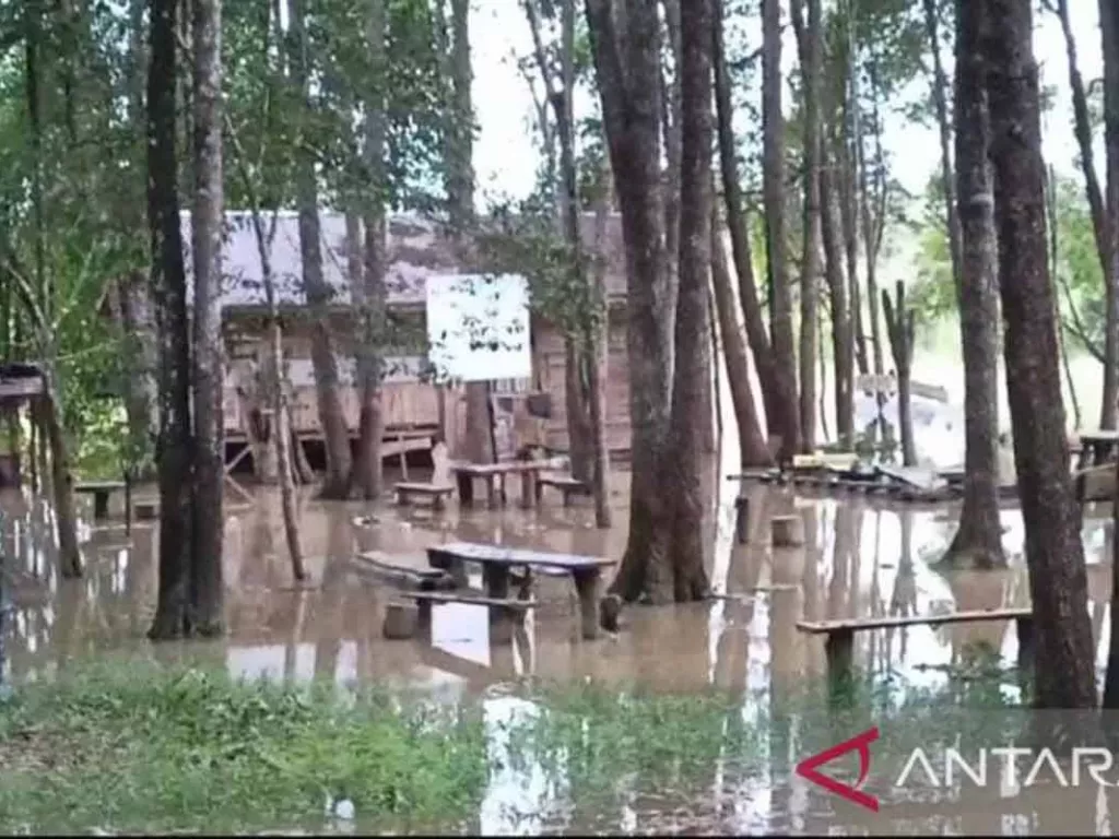 5 Kecamatan di Batanghari Jambi Banjir, Debit Sungai Terus Dipantau - GenPI.co SULTRA