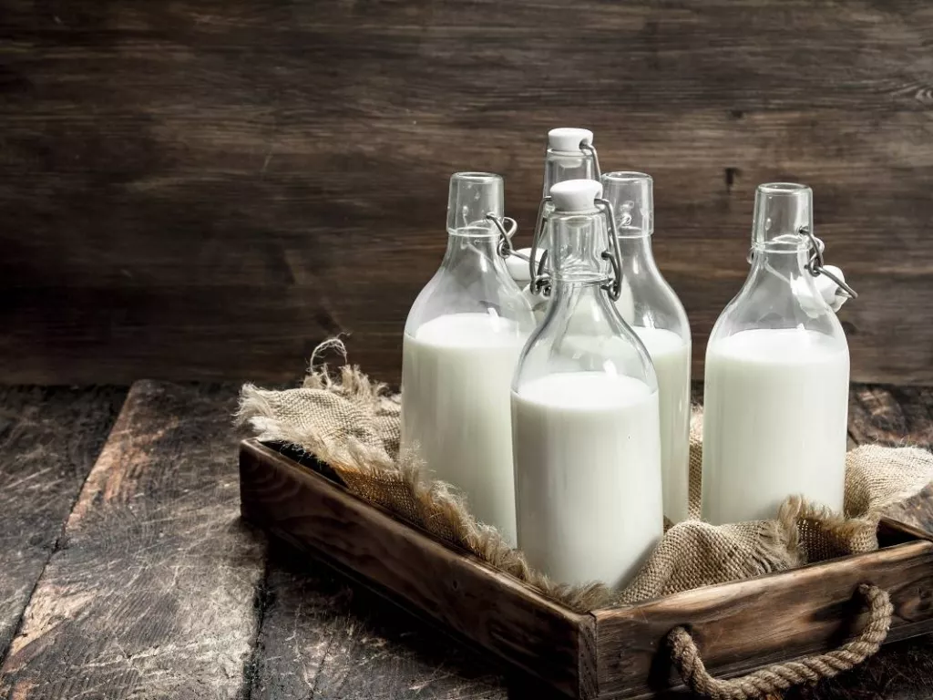 Susu Sapi vs Susu Kerbau: Mana yang Lebih Sehat? - GenPI.co SUMSEL