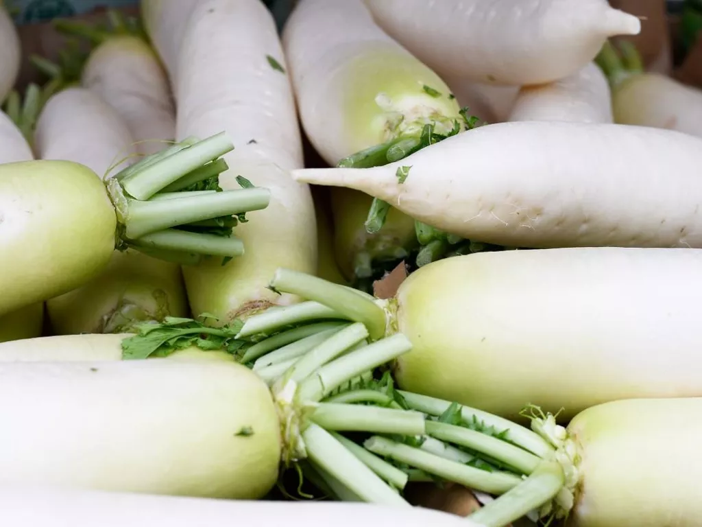 Gampang Sakit Saat Musim Hujan, 3 Makanan Bisa Meningkatkan Daya Tahan Tubuh - GenPI.co RIAU