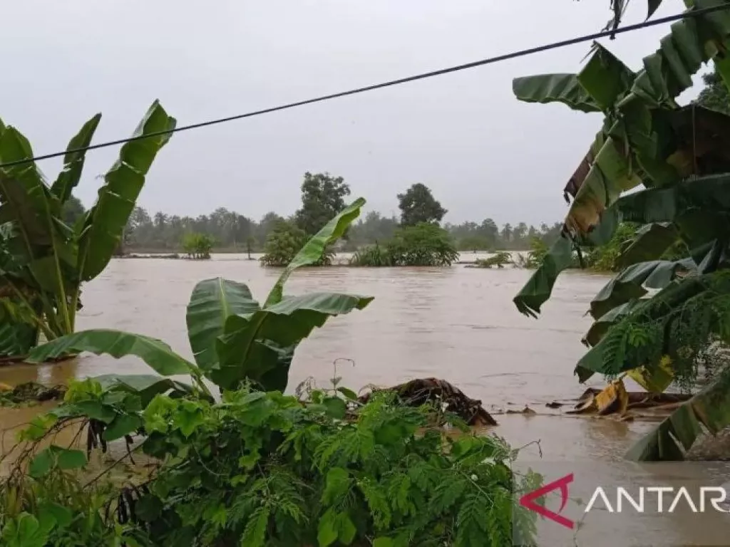 Banjir dan Tanah Longsor Terjang Luwu Sulawesi Selatan, 14 Warga Meninggal - GenPI.co SULTRA