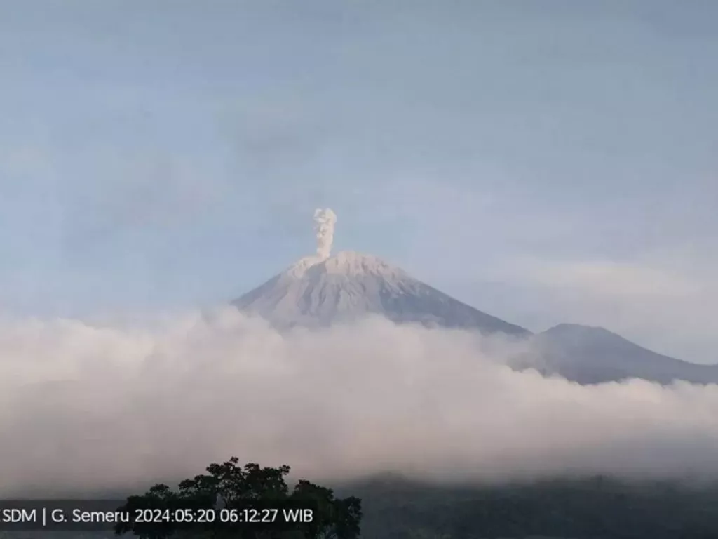 Gunung Semeru Meletus Lagi, Lontarkan Abu Vulkanik Setinggi 800 Meter - GenPI.co SULTRA