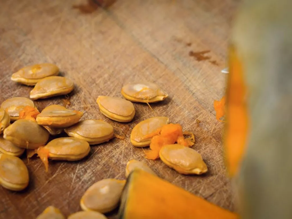 3 Makanan Tinggi Protein, Cocok untuk Gaya Hidup Aktif - GenPI.co SUMSEL