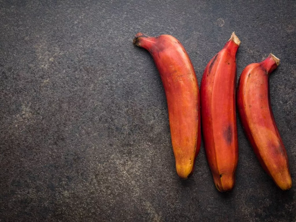 Meski Bergizi, Pisang Merah Bisa Picu Masalah Kesehatan Jika Tidak Hati-hati - GenPI.co SULTRA