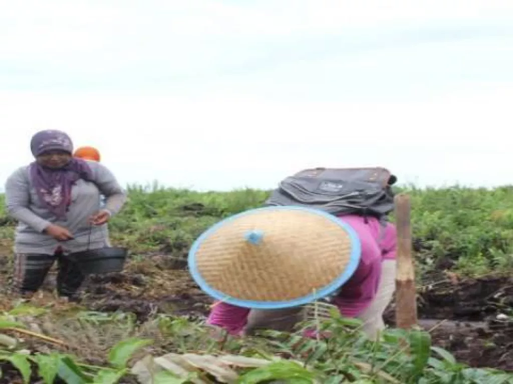 Kubu Raya Prioritaskan Pembangunan Berbasis Pedesaan - GenPI.co BALI