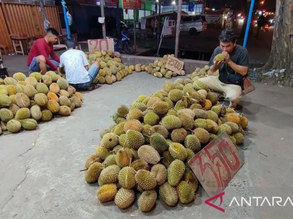 September hingga Oktober 2023, Kalbar Masuki Puncak Musim Buah Durian - GenPI.co SUMSEL