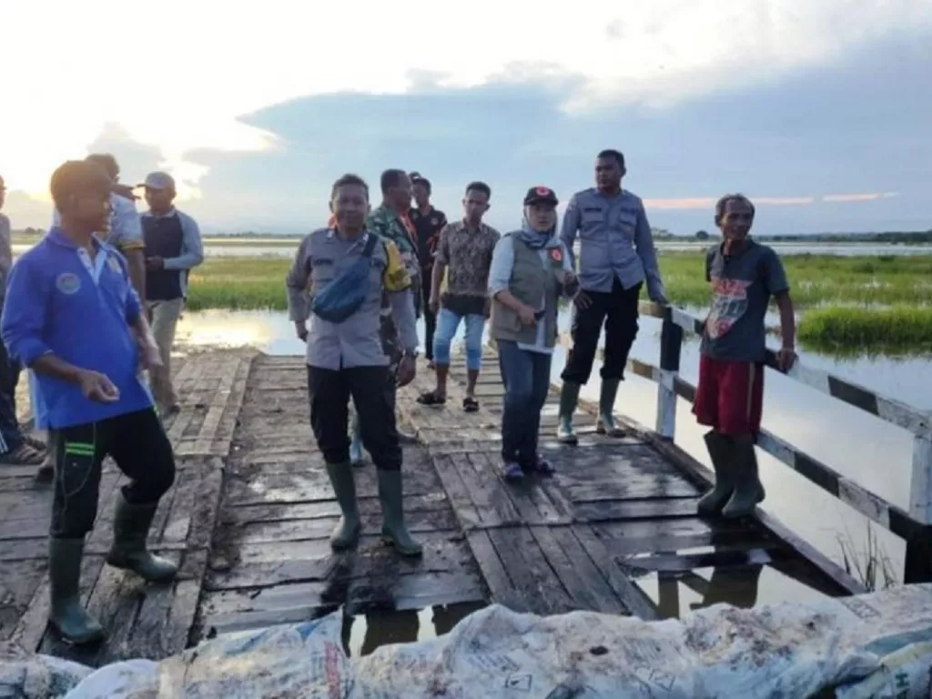 Ratusan Hektare Sawah di Penajam Paser Utara Kebanjiran - GenPI.co SULTRA