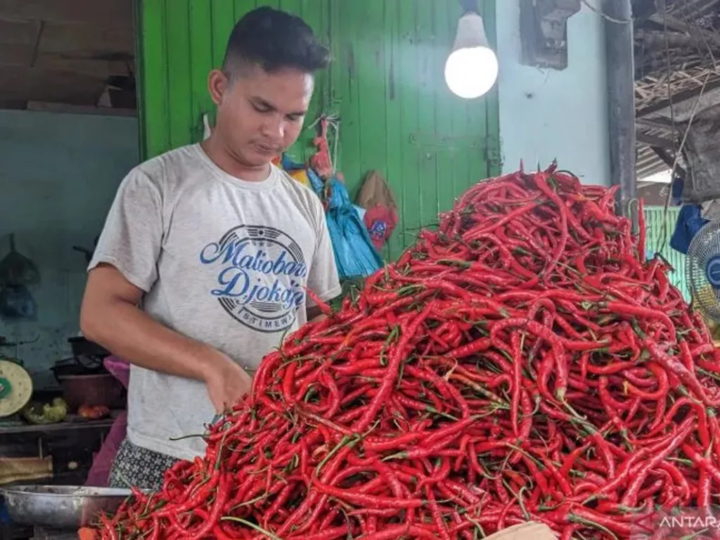 Pengamat Sebut Harga Cabai Sumut Rendah Karena Petani Terlalu Optimistis - GenPI.co SUMUT