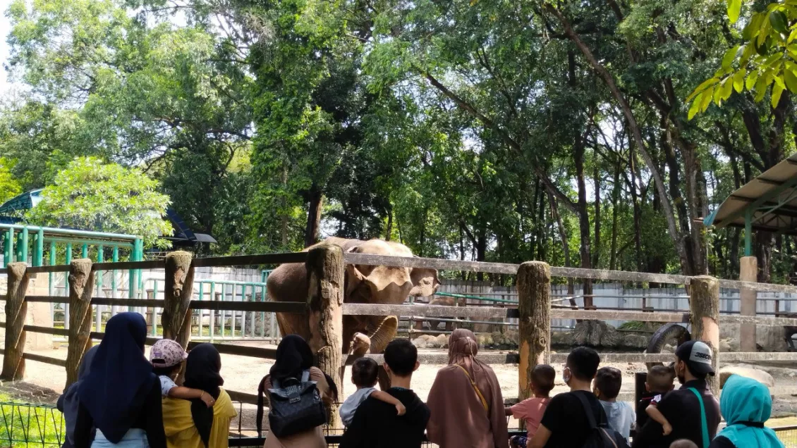 Lihat Spot Favorit di Taman Margasatwa Ragunan Yuk!