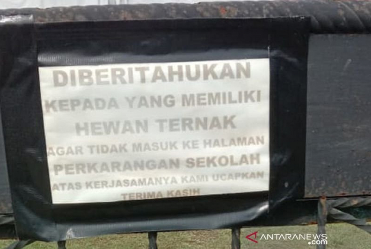 Miris, Sekolah di Aceh Malah Jadi Kandang Hewan Ternak - GenPI.co