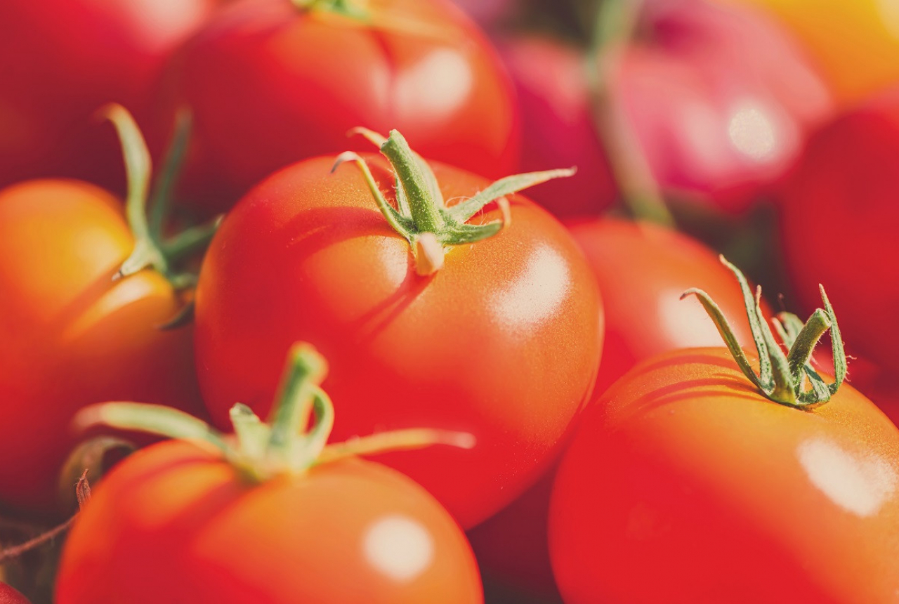 3 Cara Menggunakan Tomat untuk Wajah, Kulit Glowing Maksimal - GenPI.co