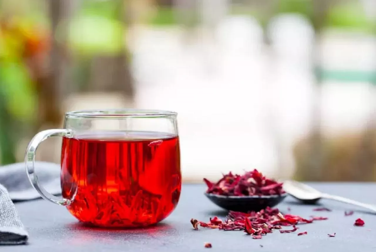Teh rosella sebagai alternatif sehat pengganti kafein untuk penderita hipertensi