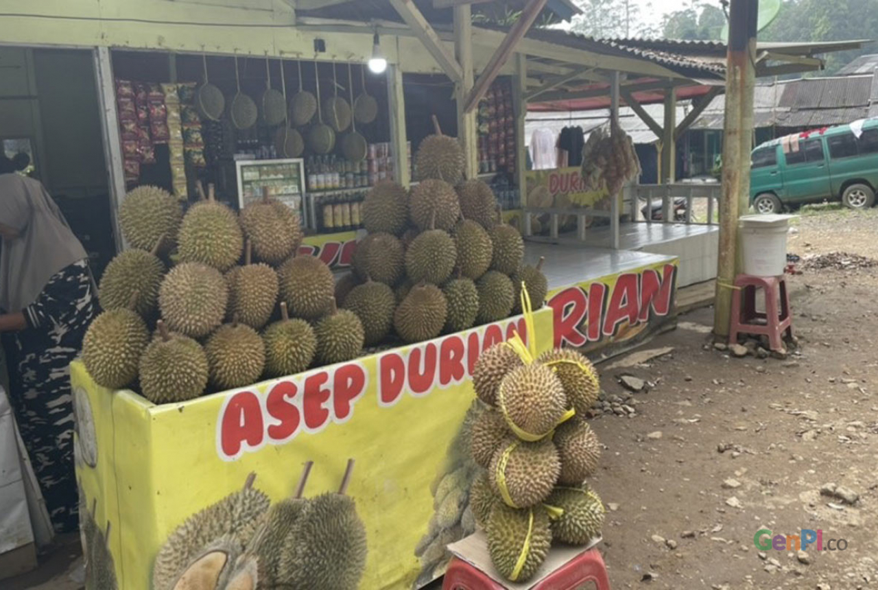 Cara Memilih Durian yang Manis dan Matang, Simak Tipsnya! - GenPI.co