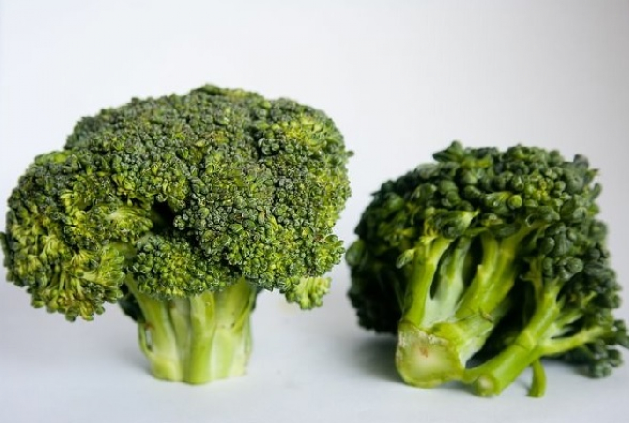 Awas! Makan Brokoli Mentah Ternyata Efeknya Begini - GenPI.co