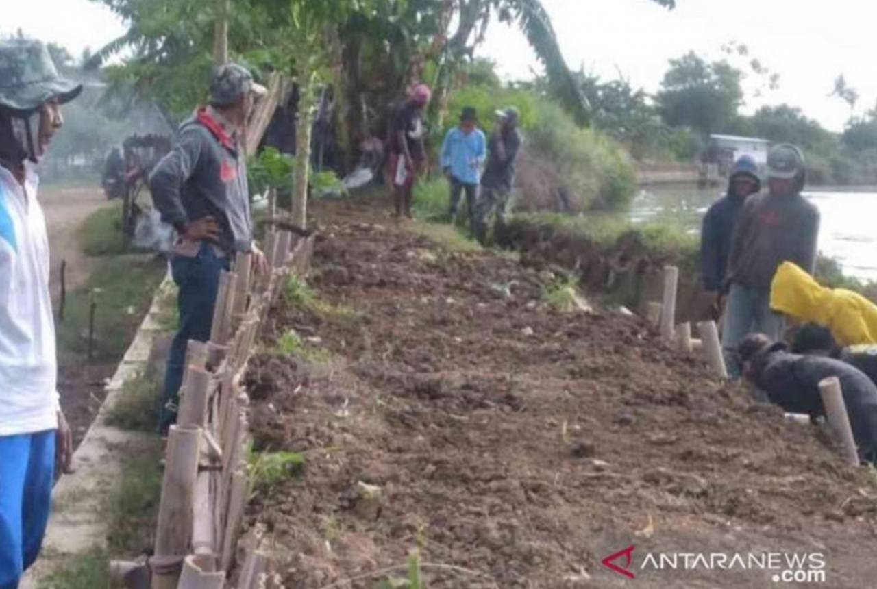 Warga Muaragembong Gotong Royong Perbaiki Tanggul Sungai Citarum - GenPI.co JABAR