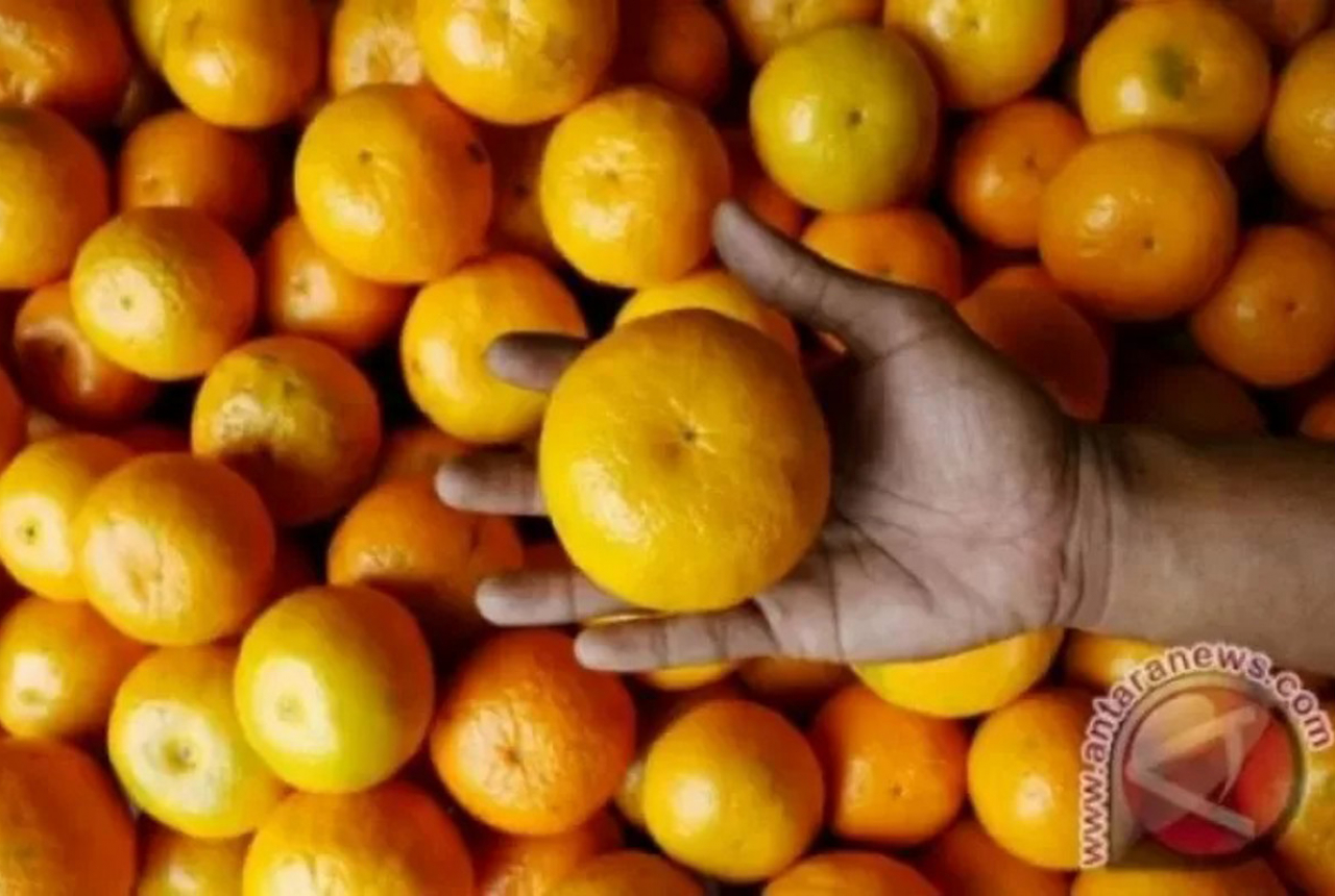 Jangan Makan 3 Buah  saat Sarapan Berbahaya GenPI co Jateng