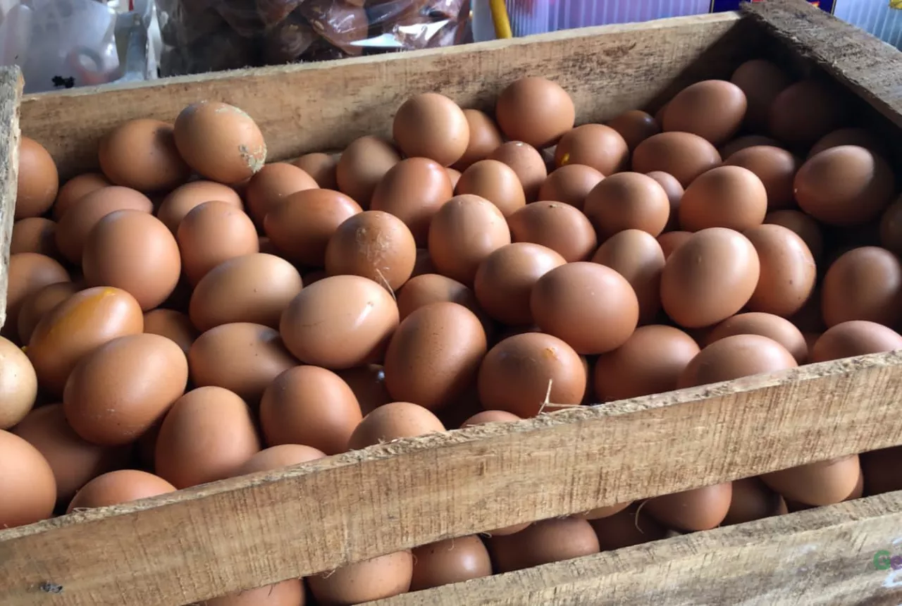 Harga Telur Ayam di Solo Tembus Rp 30.000/Kg - GenPI.co JATENG