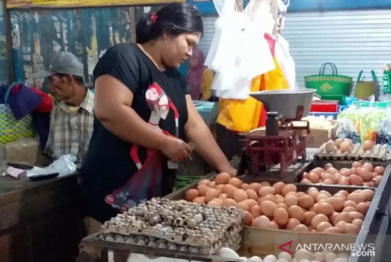 Telur Ayam Ras dan Minyak Goreng Beri Andil Inflasi di Jember - GenPI.co JATIM