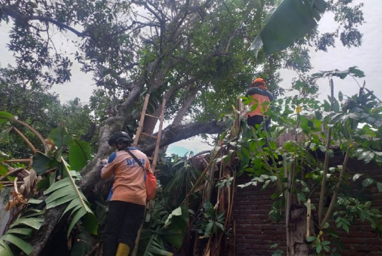 Ratusan Rumah di Situbondo Rusak Diterjang Puting Beliung - GenPI.co JATIM