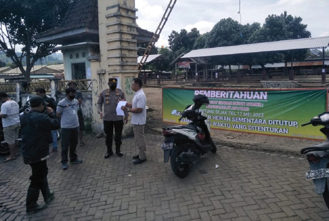 Pemkab Malang Tutup Semua Pasar Hewan di Wilayahnya - GenPI.co JATIM